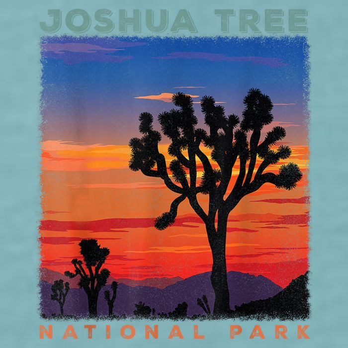 Joshua Tree National Park Sueded Cloud Jersey T-Shirt