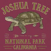 JOSHUA TREE NATIONAL PARK California Desert Turtle Tortoise 16oz Travel Tumbler