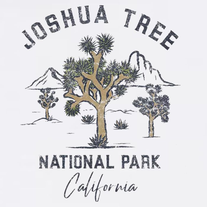 Joshua Tree National Park Vintage Button