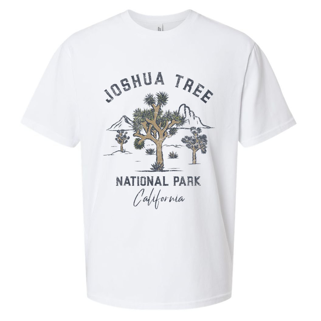 Joshua Tree National Park Vintage Sueded Cloud Jersey T-Shirt
