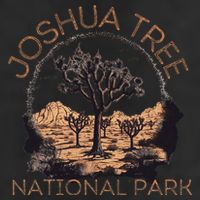 Joshua Tree National Park Microfiber Hand Towel