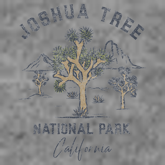 Joshua Tree National Park Vintage Toddler Hoodie