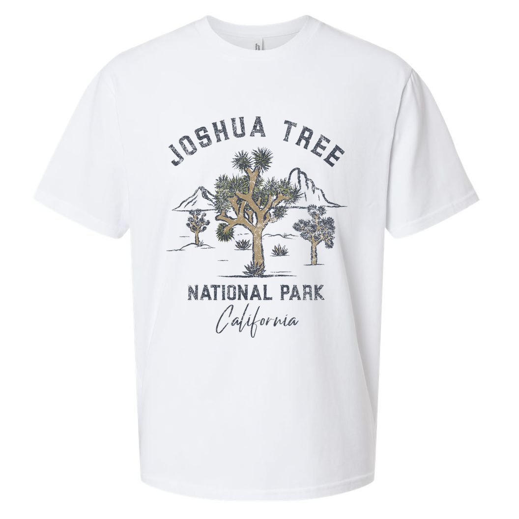 Joshua Tree National Park Vintage Sueded Cloud Jersey T-Shirt