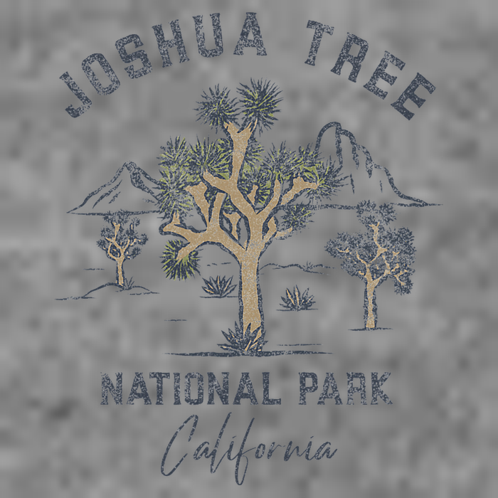 Joshua Tree National Park Toddler Sweatshirt