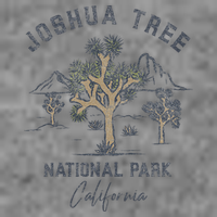 Joshua Tree National Park Tall Hoodie