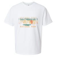 Joshua Tree National Park Sueded Cloud Jersey T-Shirt