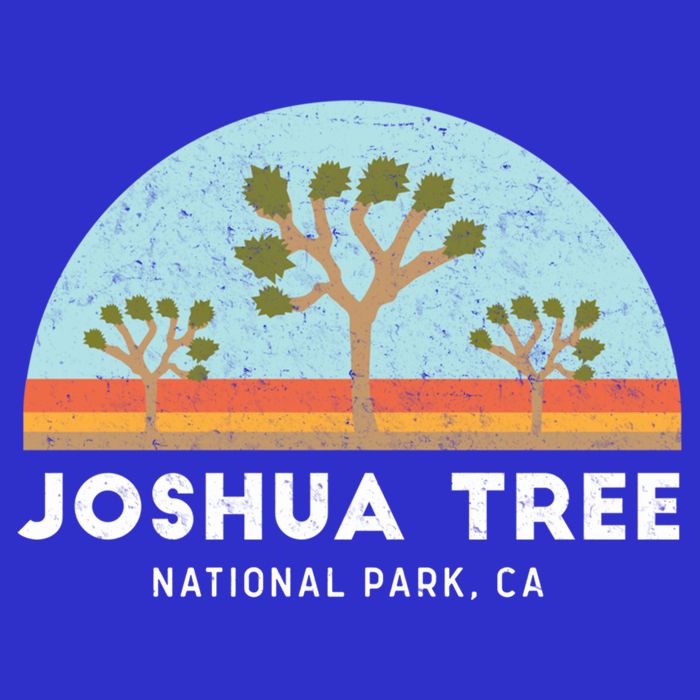 Joshua Tree National Park Meaningful Gift 16 in Basic Backpack
