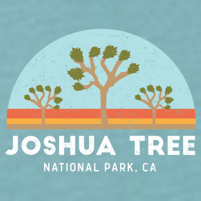 Joshua Tree National Park Meaningful Gift Sueded Cloud Jersey T-Shirt
