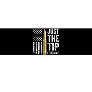 Just The Tip I Promise Funny Gun Owner Pro Guns USA Flag Bumper Sticker