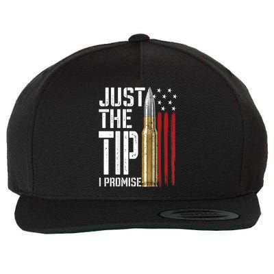 Just The Tip I Promise Bullet American Flag Gun Lover Back Wool Snapback Cap
