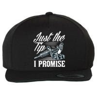 Just The Tip I Promise Funny Saying Tattoo Lover Wool Snapback Cap