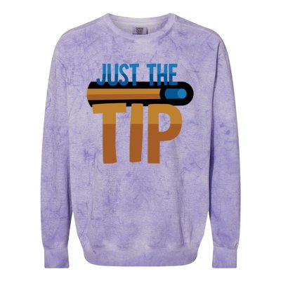 Just The Tip I Pool Billiard Snooker Gift Colorblast Crewneck Sweatshirt