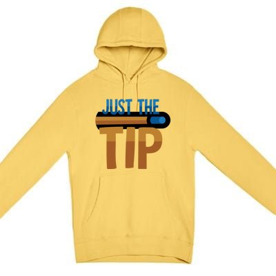 Just The Tip I Pool Billiard Snooker Gift Premium Pullover Hoodie