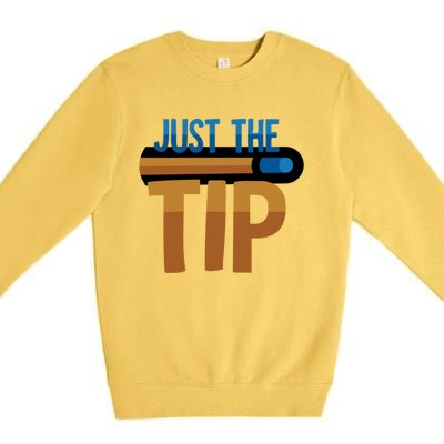 Just The Tip I Pool Billiard Snooker Gift Premium Crewneck Sweatshirt