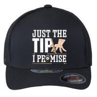 Just The Tip I Promise Billiard Pool Funny Billiard Gift Flexfit Unipanel Trucker Cap