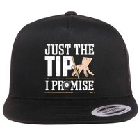 Just The Tip I Promise Billiard Pool Funny Billiard Gift Flat Bill Trucker Hat