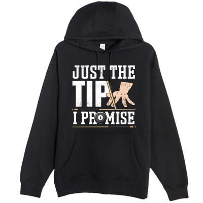 Just The Tip I Promise Billiard Pool Funny Billiard Gift Premium Pullover Hoodie