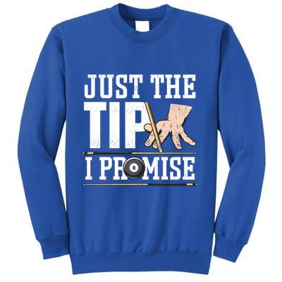 Just The Tip I Promise Billiard Pool Funny Billiard Gift Sweatshirt