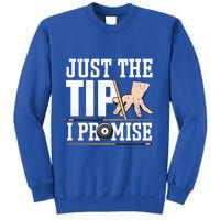 Just The Tip I Promise Billiard Pool Funny Billiard Gift Sweatshirt