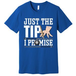 Just The Tip I Promise Billiard Pool Funny Billiard Gift Premium T-Shirt