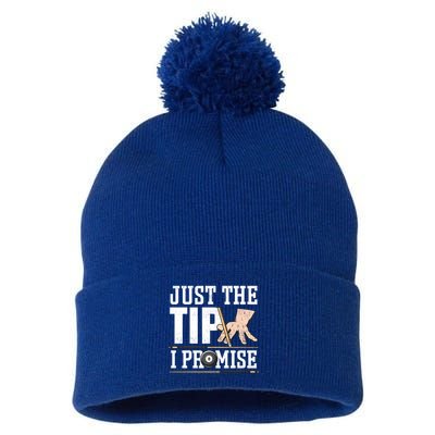 Just The Tip I Promise Billiard Pool Funny Billiard Gift Pom Pom 12in Knit Beanie