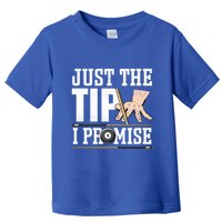 Just The Tip I Promise Billiard Pool Funny Billiard Gift Toddler T-Shirt