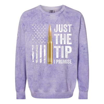 Just The Tip I Promise Funny Gun Owner Pro Guns USA Flag Colorblast Crewneck Sweatshirt