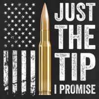 Just The Tip I Promise Funny Gun Owner Pro Guns USA Flag 7 Panel Mesh Trucker Snapback Hat