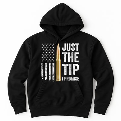 Just The Tip I Promise Funny Gun Owner Pro Guns USA Flag Hoodie
