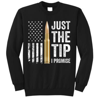 Just The Tip I Promise Funny Gun Owner Pro Guns USA Flag Sweatshirt
