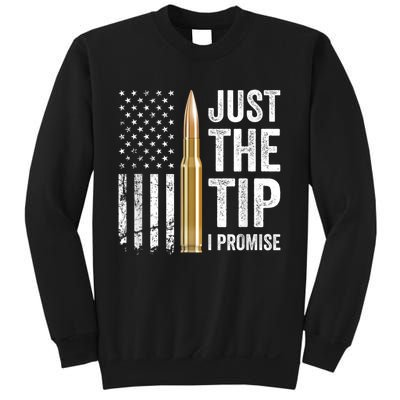 Just The Tip I Promise Funny Gun Owner Pro Guns USA Flag Sweatshirt