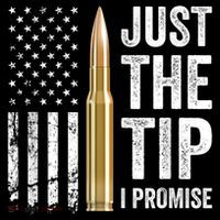 Just The Tip I Promise Funny Gun Owner Pro Guns USA Flag City Backpack