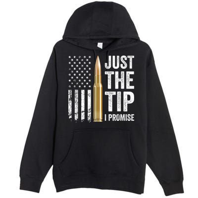 Just The Tip I Promise Funny Gun Owner Pro Guns USA Flag Premium Pullover Hoodie