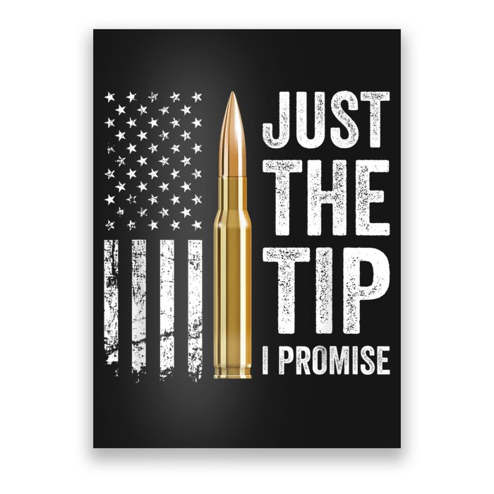 Just The Tip I Promise Funny Gun Owner Pro Guns USA Flag Poster
