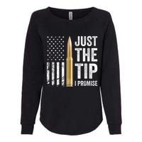 Just The Tip I Promise Funny Gun Owner Pro Guns USA Flag Womens California Wash Sweatshirt