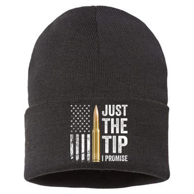 Just The Tip I Promise Funny Gun Owner Pro Guns USA Flag Sustainable Knit Beanie