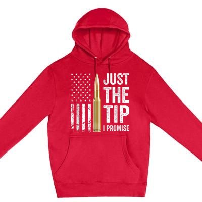 Just The Tip I Promise Funny Gun Owner Pro Guns USA Flag Premium Pullover Hoodie