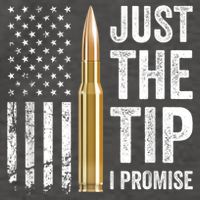 Just The Tip I Promise Funny Gun Owner Pro Guns USA Flag Vector Backpack