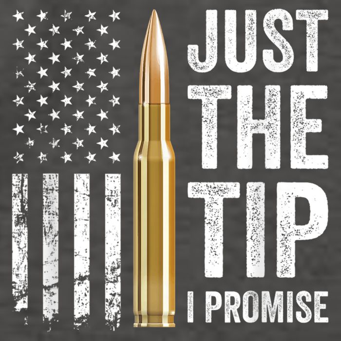 Just The Tip I Promise Funny Gun Owner Pro Guns USA Flag Vector Backpack