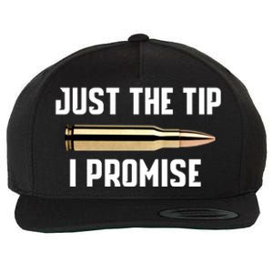 Just The Tip I Promise Gift Funny Gun Gift Wool Snapback Cap