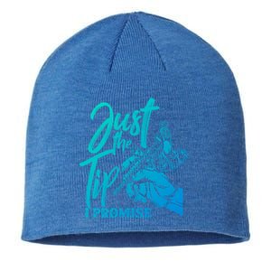 Just The Tip I Promise Funny Saying Tattoo Lover Gift Sustainable Beanie