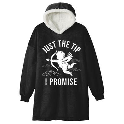Just The Tip I Promise Funny Cupid Hooded Wearable Blanket