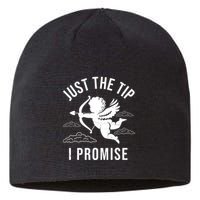 Just The Tip I Promise Funny Cupid Sustainable Beanie