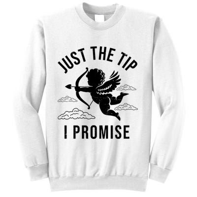 Just The Tip I Promise Funny Cupid Sweatshirt