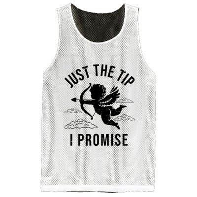 Just The Tip I Promise Funny Cupid Mesh Reversible Basketball Jersey Tank