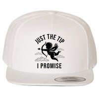 Just The Tip I Promise Funny Cupid Wool Snapback Cap