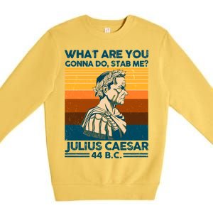 Julius Caesar What Are You Gonna Do Stab Me? Premium Crewneck Sweatshirt