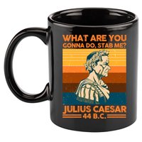 Julius Caesar What Are You Gonna Do Stab Me? 11oz C Handle Ceramic Mug