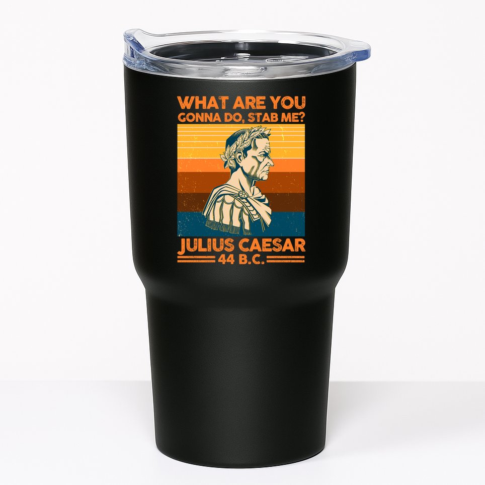 Julius Caesar What Are You Gonna Do Stab Me? Tumbler