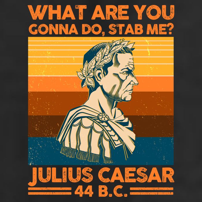 Julius Caesar What Are You Gonna Do Stab Me? Microfiber Hand Towel